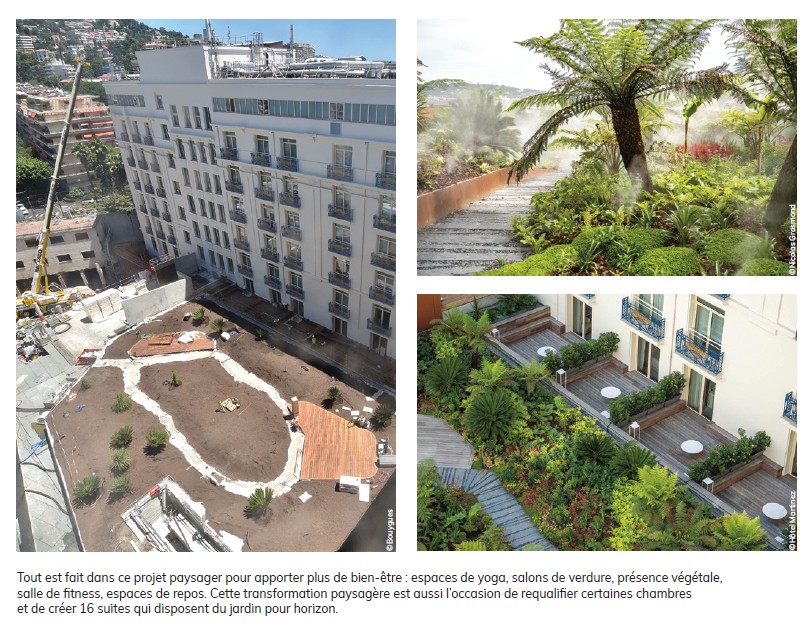 mise en place du jardin sur le toit du Martinez